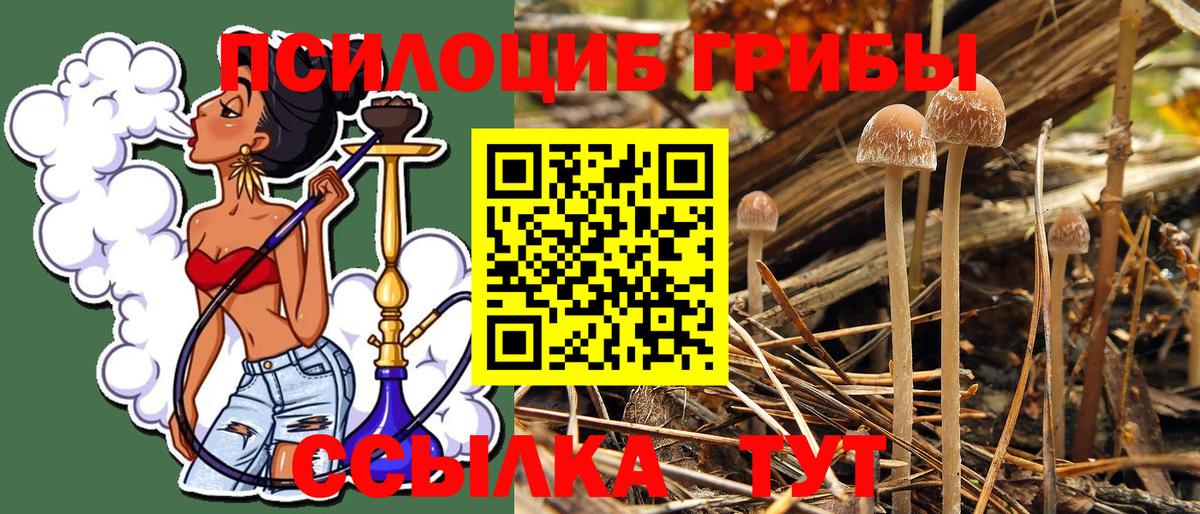 Галлюциногенные грибы Cubensis  Галлюциногенные грибы Psilocybine cubensis  Вход с VPN  Нальчик 